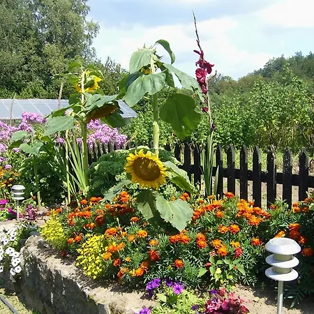 Comfortable With Fireplace, Garden Villa *