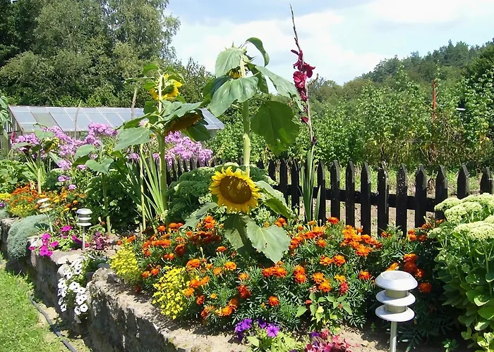 Comfortable With Fireplace, Garden Villa *